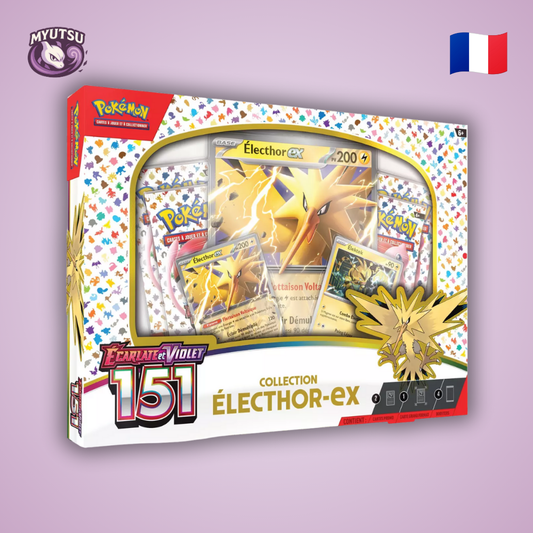 Coffret Électhor EV3.5 - 151